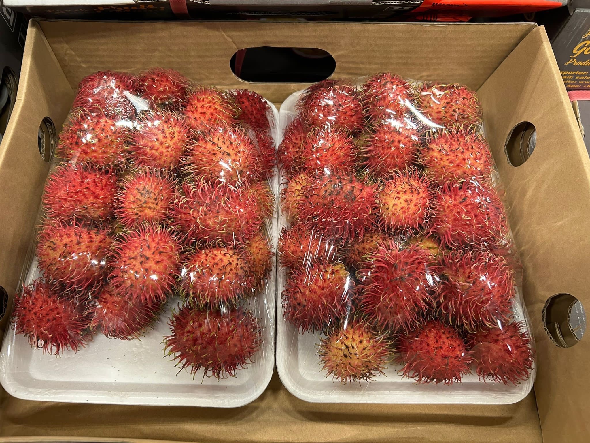 /rambutan